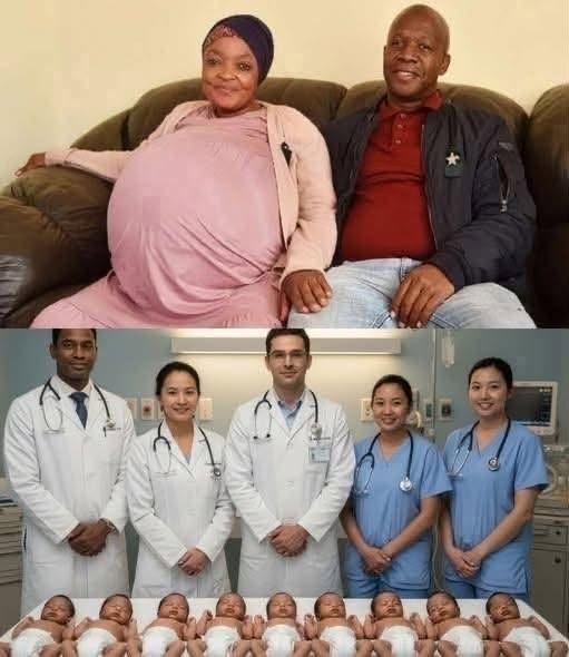 A Mother Gives Birth to 10 Babies – But One Wasn’t Hum… See more…