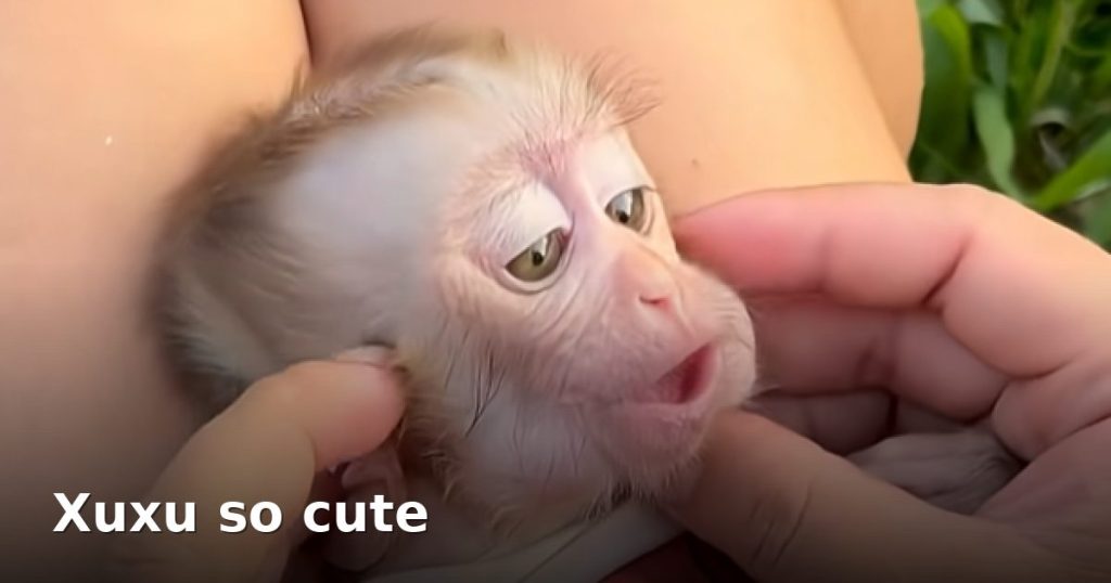 Xuxu so cute