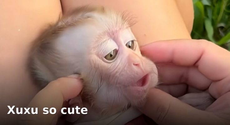 Xuxu so cute